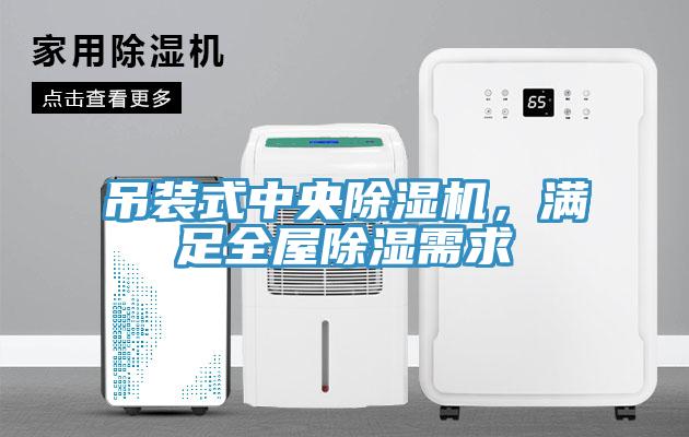 吊裝式中央除濕機(jī)，滿足全屋除濕需求