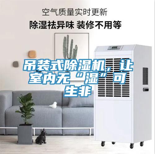吊裝式除濕機(jī)，讓室內(nèi)無(wú)“濕”可生非