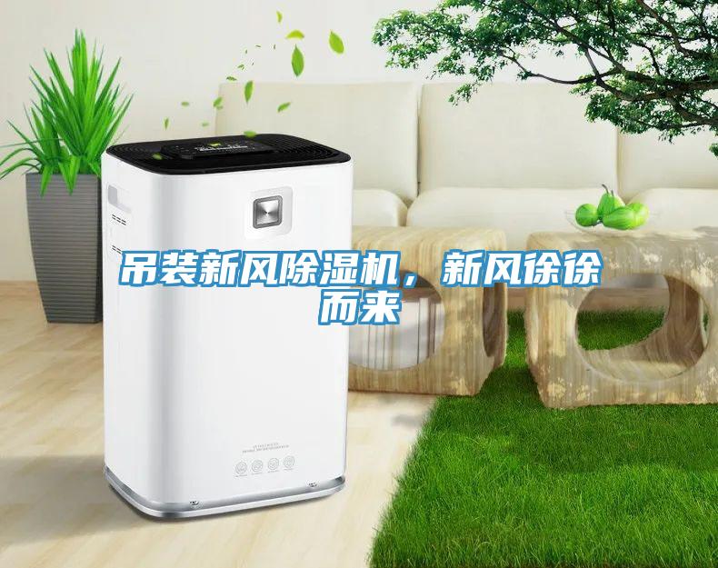 吊裝新風除濕機，新風徐徐而來