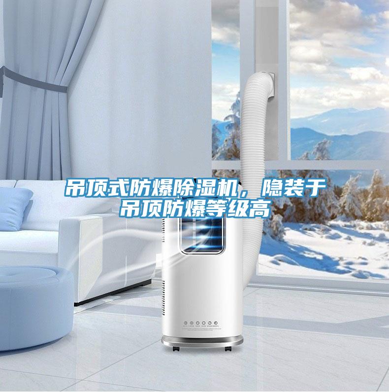 吊頂式防爆除濕機(jī)，隱裝于吊頂防爆等級(jí)高