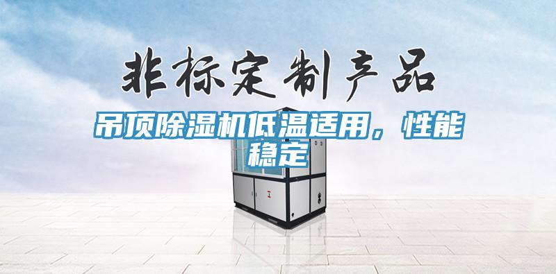 吊頂除濕機(jī)低溫適用，性能穩(wěn)定