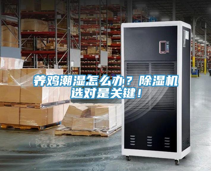 養(yǎng)雞潮濕怎么辦？除濕機選對是關鍵！