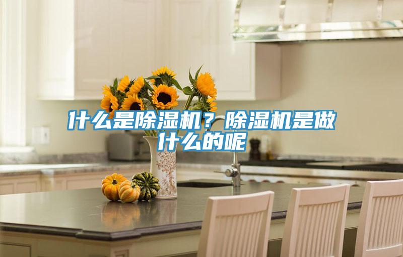 什么是除濕機(jī)？除濕機(jī)是做什么的呢