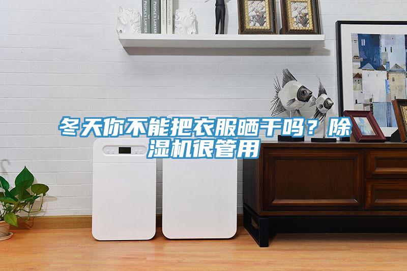 冬天你不能把衣服曬干嗎？除濕機(jī)很管用