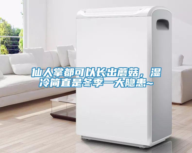 仙人掌都可以長(zhǎng)出蘑菇，濕冷簡(jiǎn)直是冬季一大隱患~