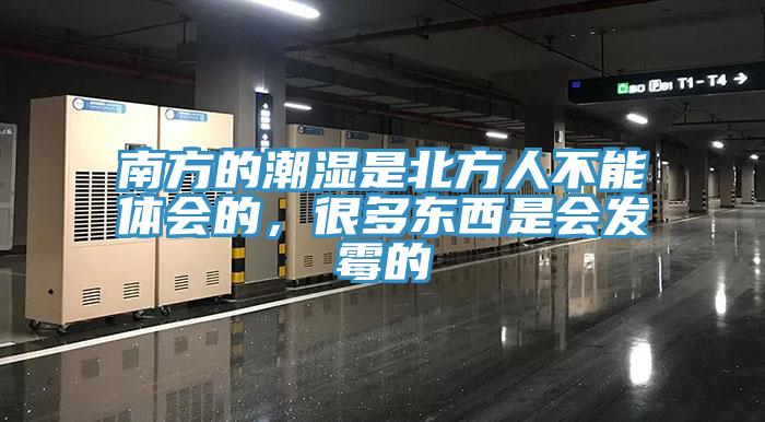 南方的潮濕是北方人不能體會的，很多東西是會發(fā)霉的