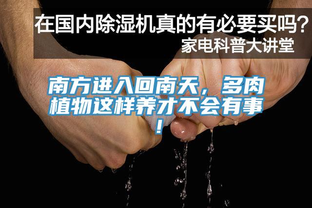 南方進入回南天，多肉植物這樣養(yǎng)才不會有事！