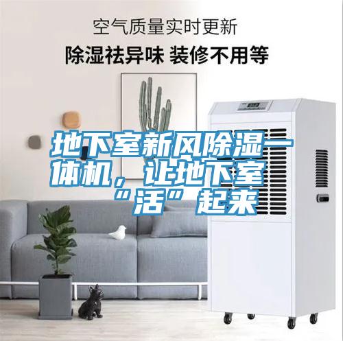 地下室新風(fēng)除濕一體機(jī)，讓地下室“活”起來
