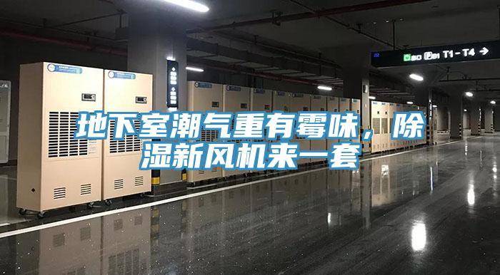 地下室潮氣重有霉味，除濕新風機來一套