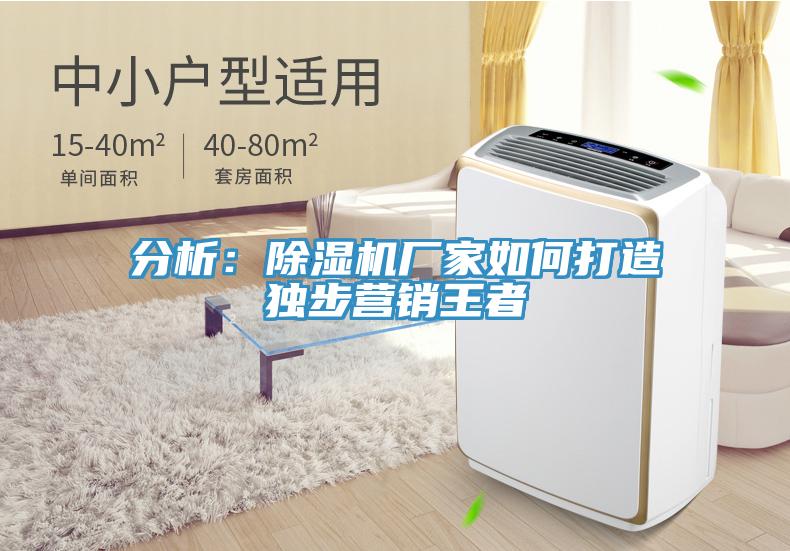 分析：除濕機(jī)廠家如何打造獨(dú)步營(yíng)銷王者