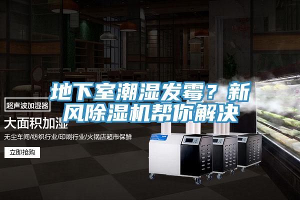 地下室潮濕發(fā)霉？新風除濕機幫你解決