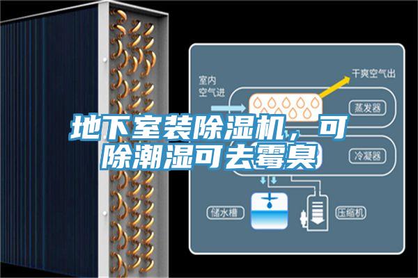 地下室裝除濕機，可除潮濕可去霉臭