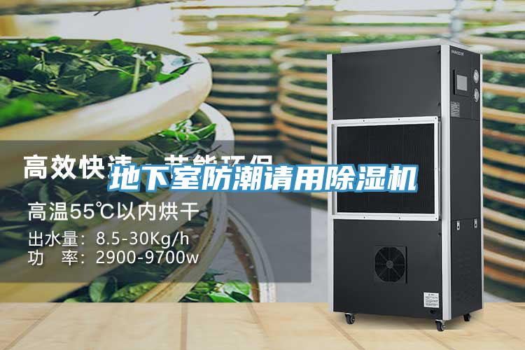 地下室防潮請(qǐng)用除濕機(jī)