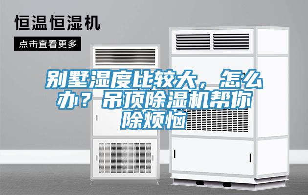 別墅濕度比較大，怎么辦？吊頂除濕機幫你除煩惱
