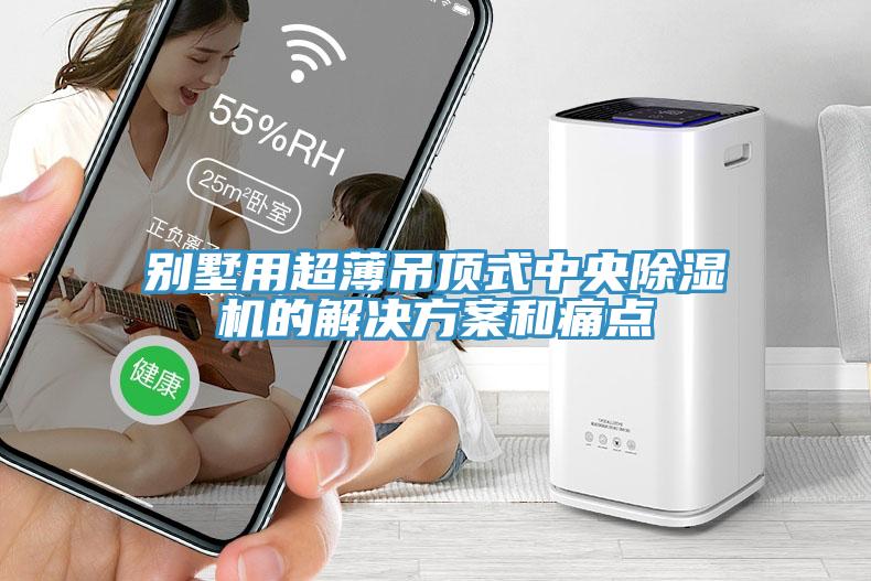 別墅用超薄吊頂式中央除濕機的解決方案和痛點