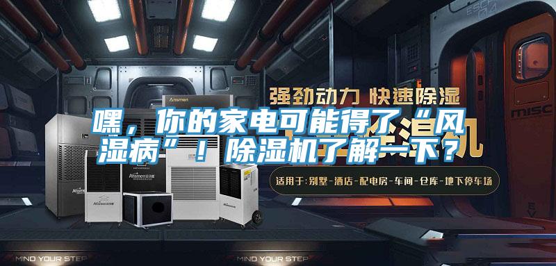 嘿，你的家電可能得了“風(fēng)濕病”！除濕機(jī)了解一下？