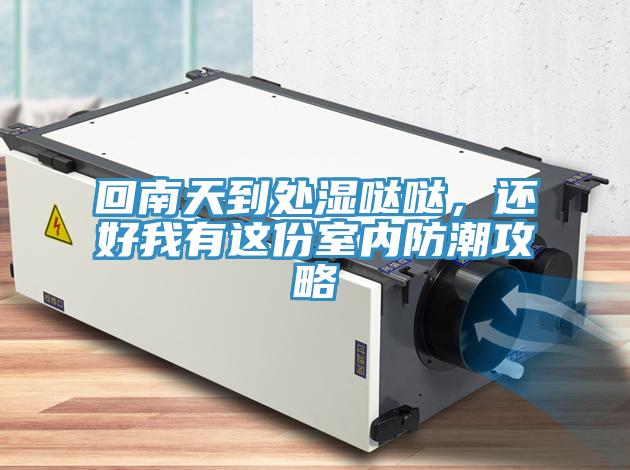 回南天到處濕噠噠，還好我有這份室內(nèi)防潮攻略