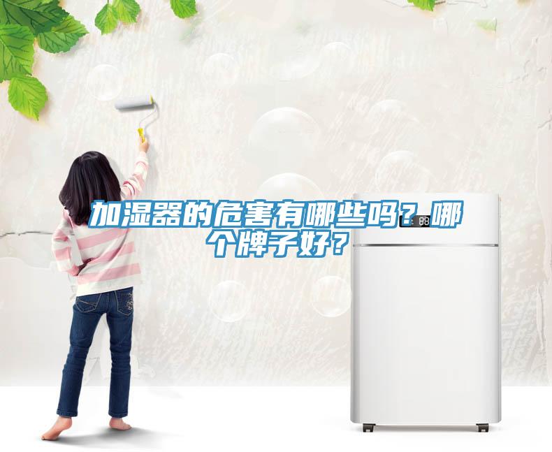 加濕器的危害有哪些嗎？哪個牌子好？