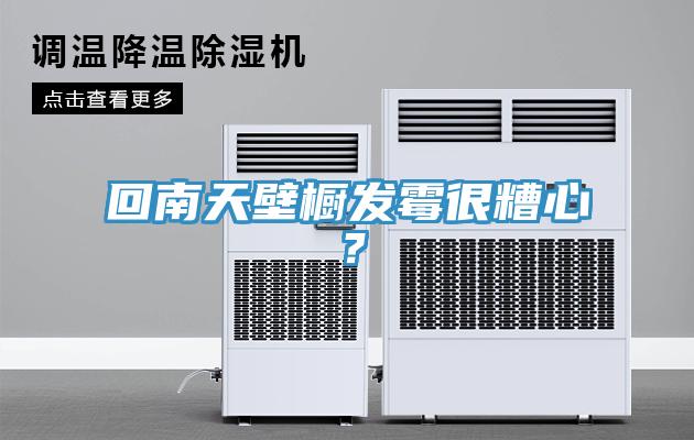 回南天壁櫥發(fā)霉很糟心？