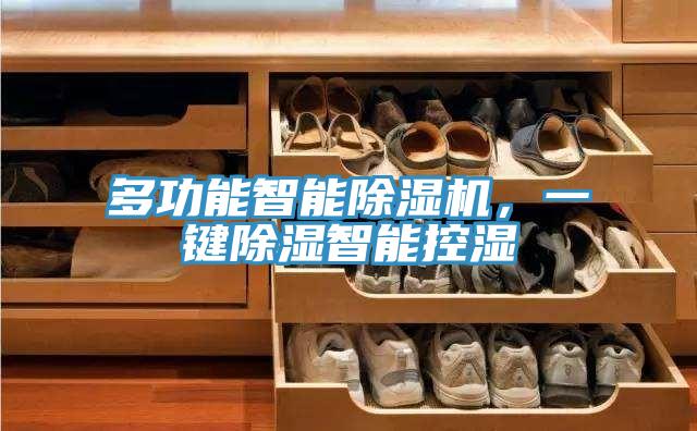 多功能智能除濕機(jī)，一鍵除濕智能控濕