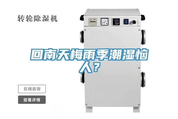 回南天梅雨季潮濕惱人？