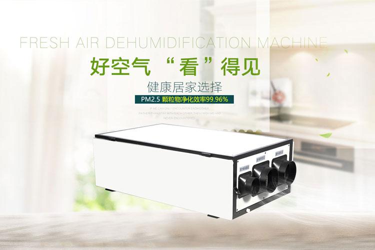 千元內(nèi)除濕機(jī)就可以解決家庭車(chē)庫(kù)潮濕問(wèn)題